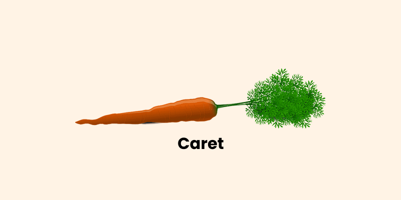 Caret R package